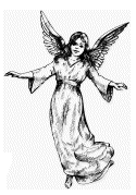 A picture of the Screen Angel